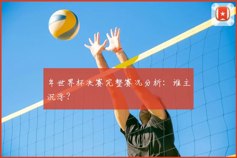 年世界杯决赛完整赛况分析：谁主沉浮？