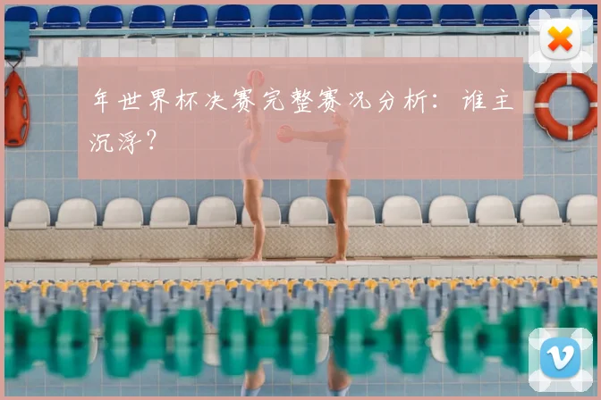 年世界杯决赛完整赛况分析：谁主沉浮？