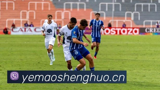 App Interface Preview