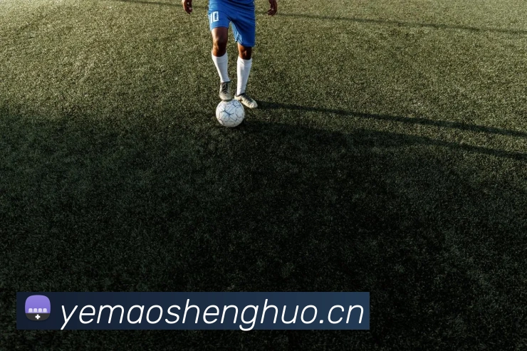 mk体育最新网站APP 封面图